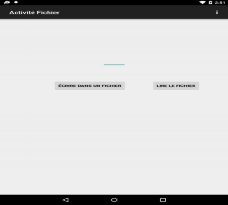 Fichier Activity