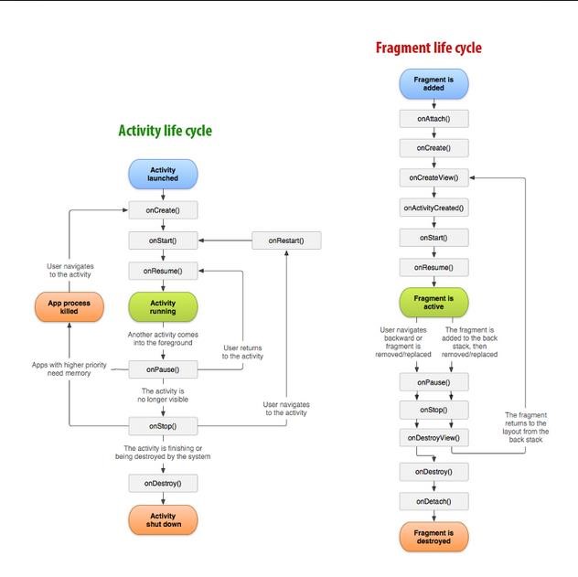 Fragment cycle